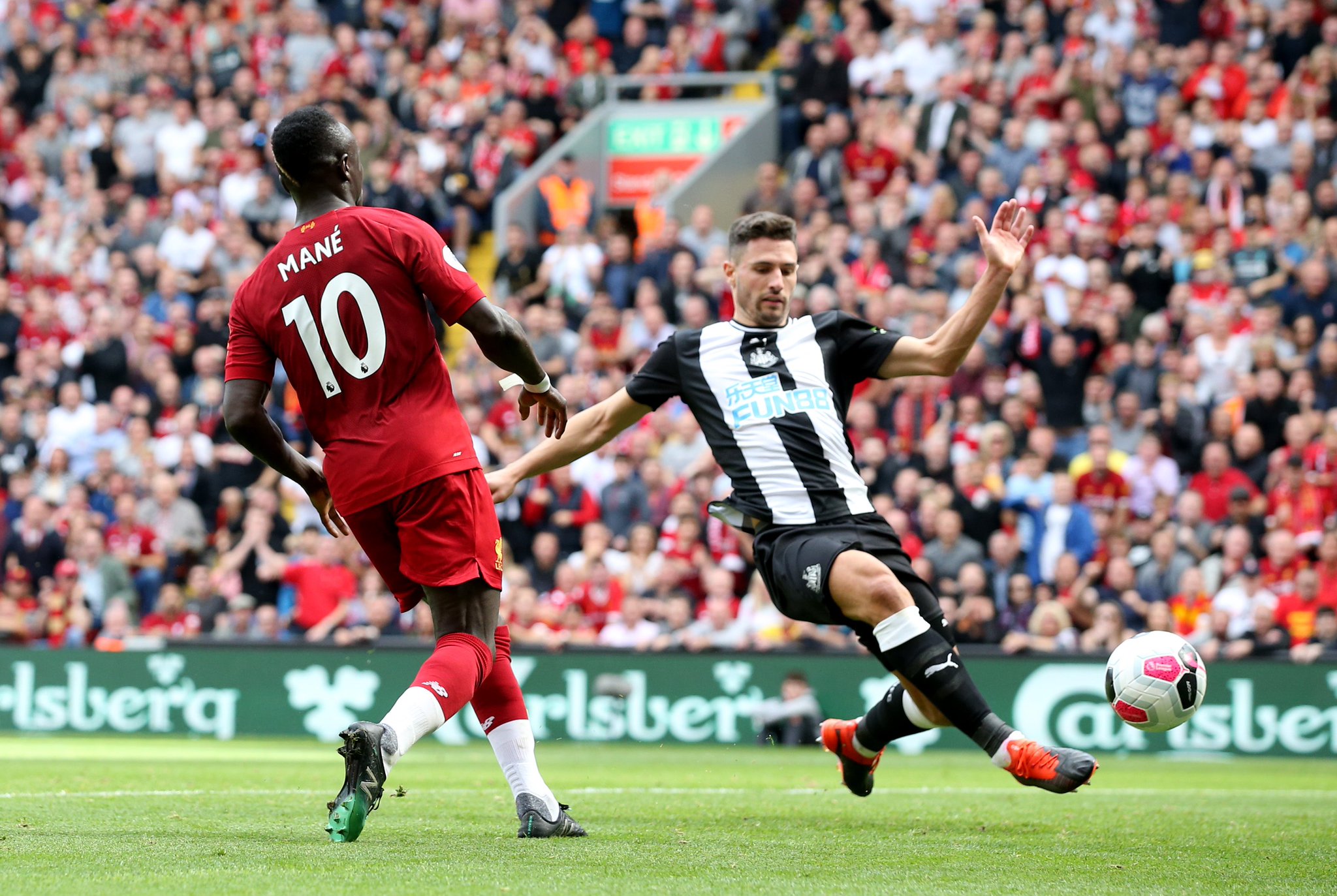 正是这种强 正是这种强